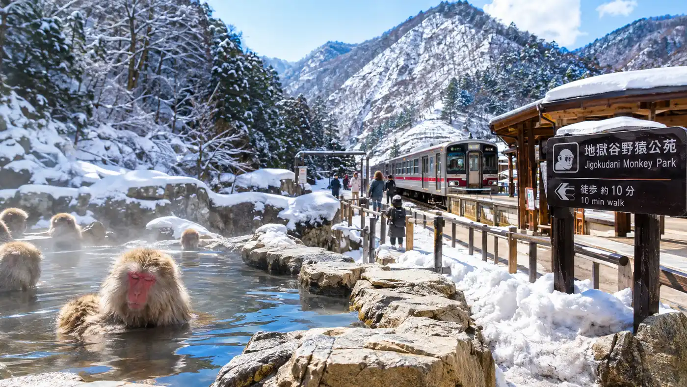 How to Get to Snow Monkey Park: Complete Transport Guide