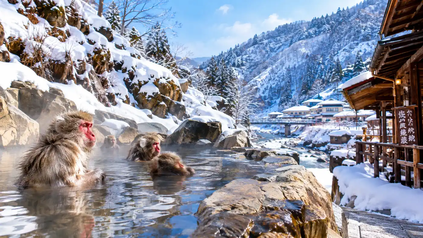 Onsen Near Snow Monkey Park: Jigokudani and Shibu Hot Springs