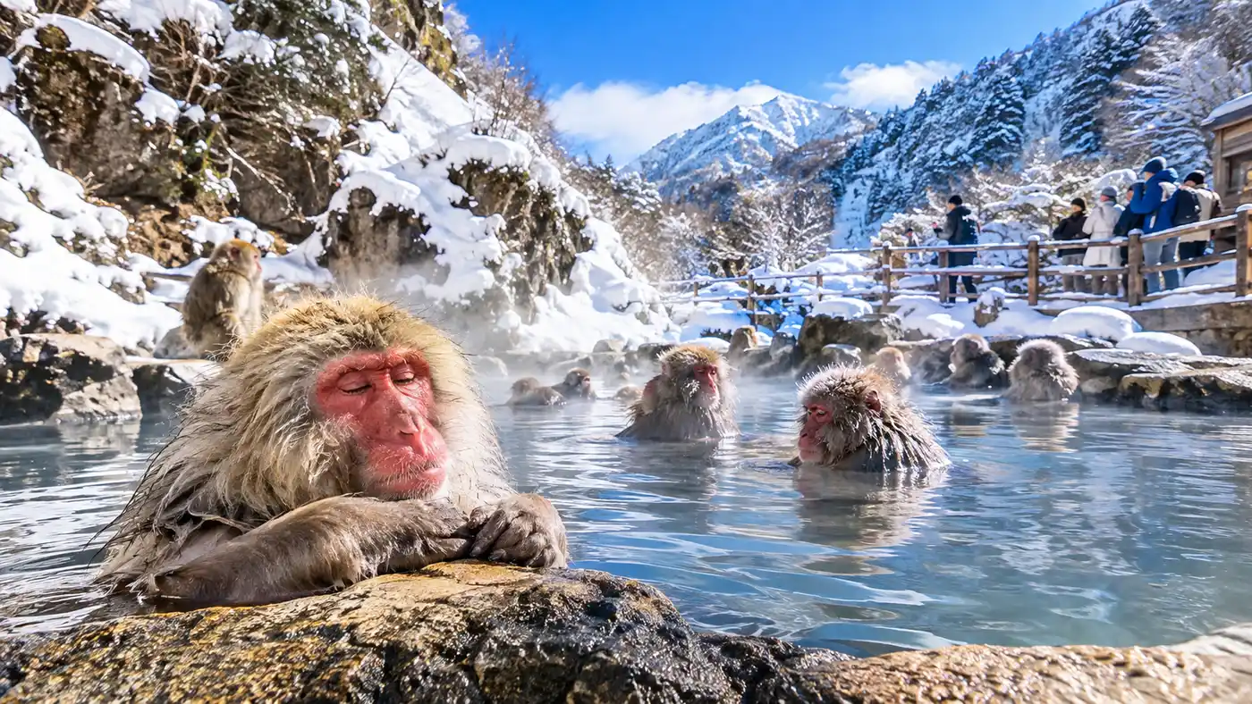 Snow Monkey Park Visitor Guide: Tickets, Hours, and Walk Info